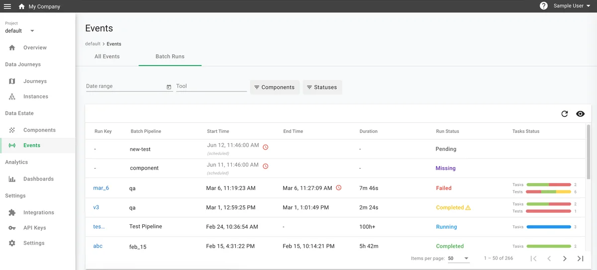 (Screenshot of the Batch Runs tab)
